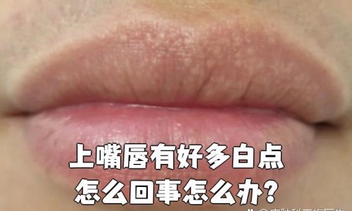 中药材公司经营范围网 - 中药材经营公司需要什么资质,中药材经营公司需要什么资质