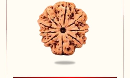 中药材经营企业-中药材公司经营范围网 - 中药材经营公司需要什么资质,中药材经营公司需要什么资质