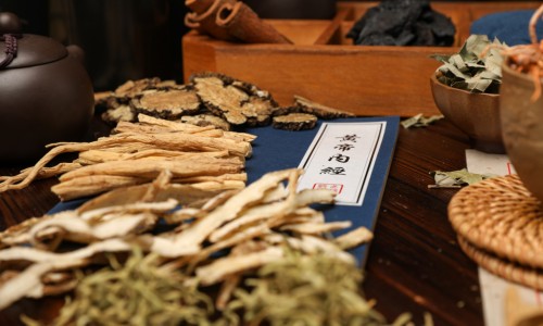 中药材公司经营范围范本-中药材公司经营范围网 - 中药材经营公司需要什么资质,中药材经营公司需要什么资质